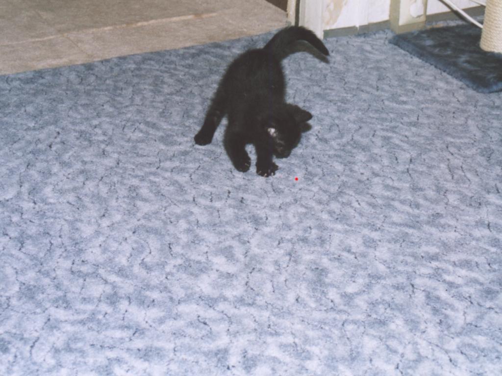 Lilli2001_07