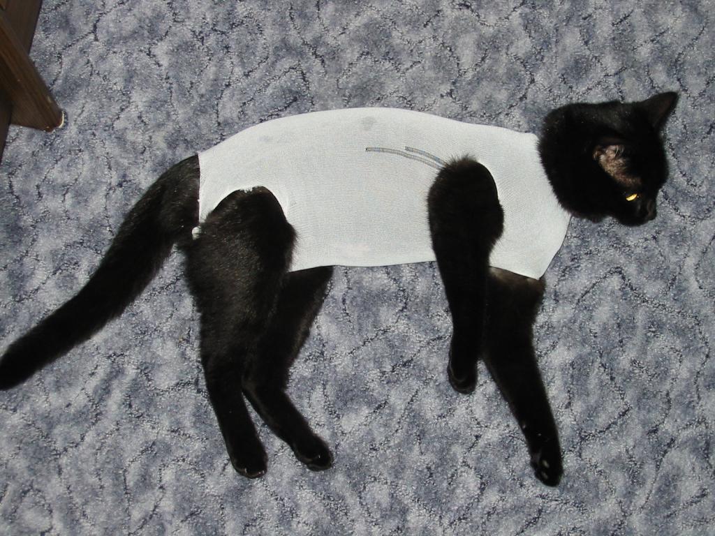 Das ist gar nicht nett!